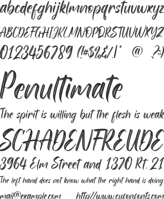 Stright Brush font preview
