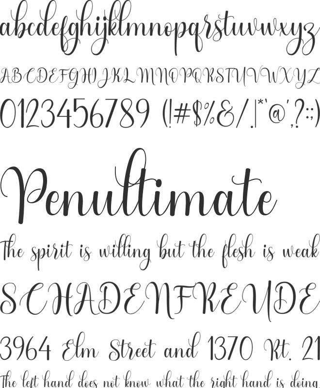 Wild Love font preview