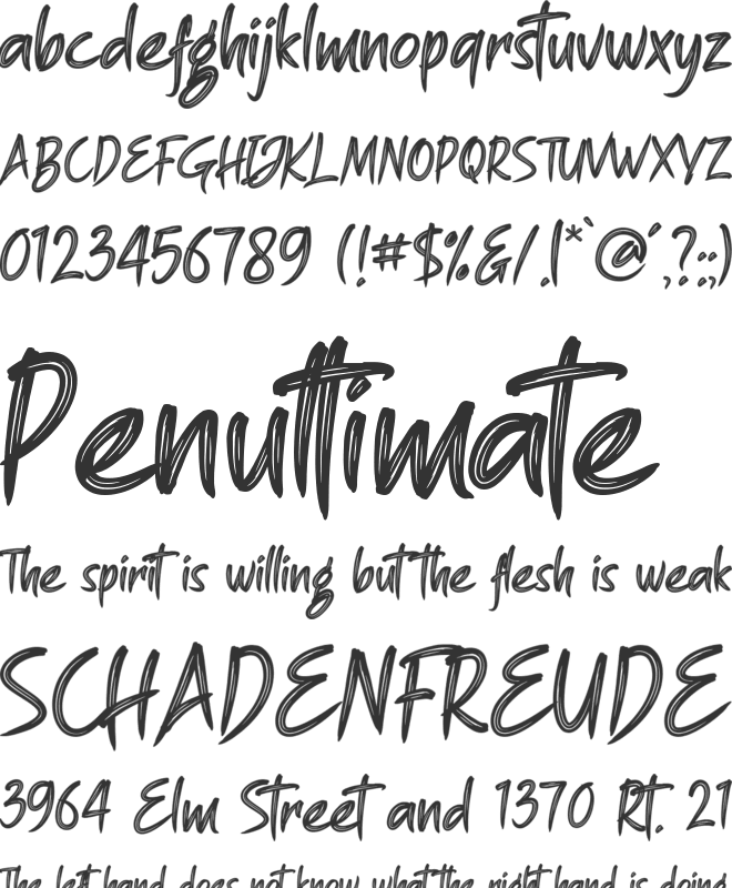 Great Bergamo font preview