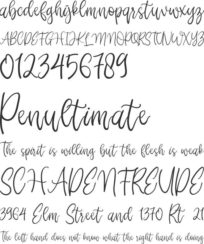 Beauty Anastasya font preview