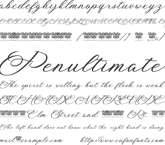 Blossom Heart font preview