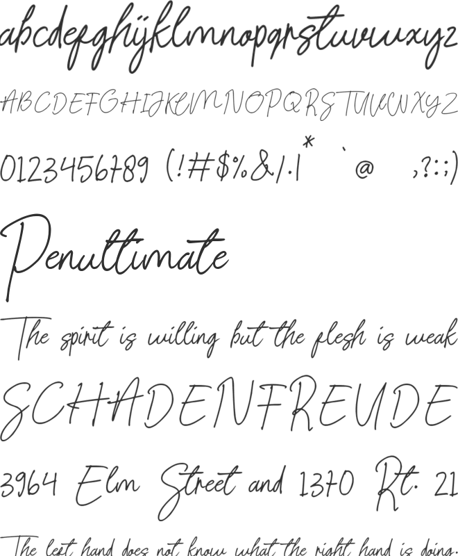 Signature present font preview