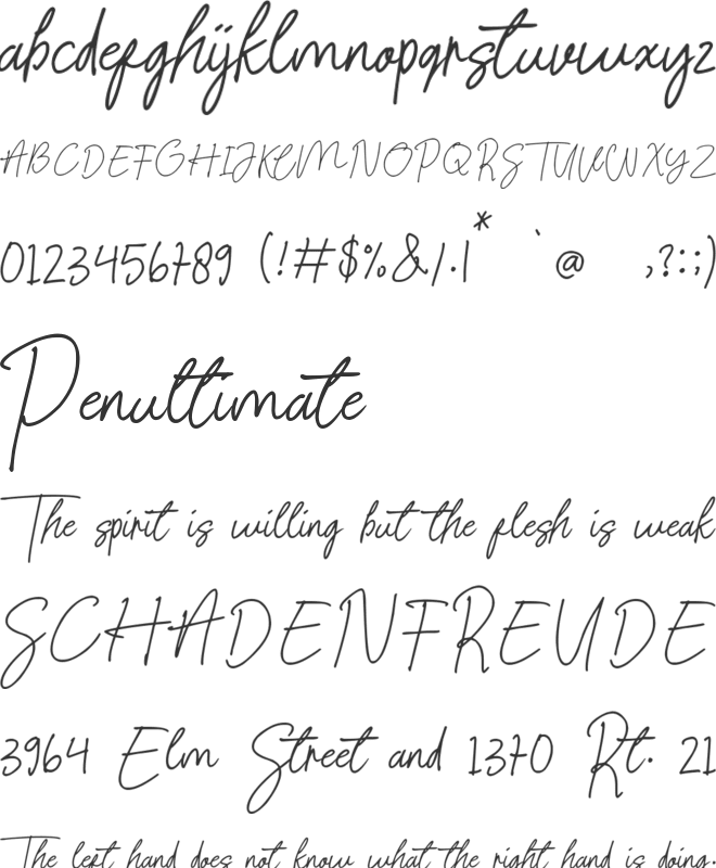 Signature present font preview