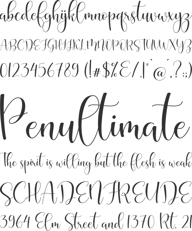 Oliver Sophie font preview