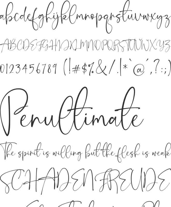 Onesty Signature font preview