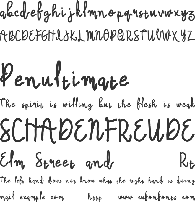 Photography font preview