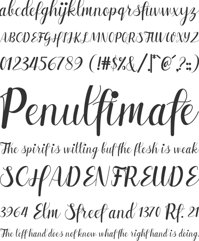 Safilla font preview