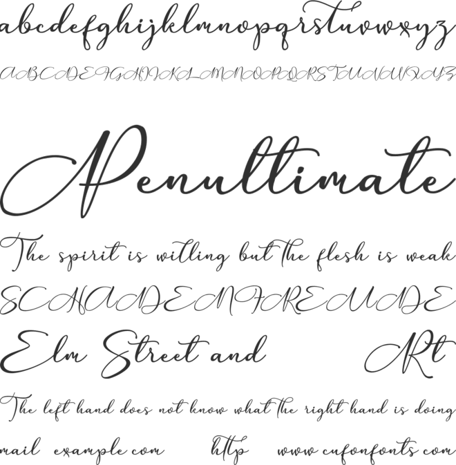 Anything font preview
