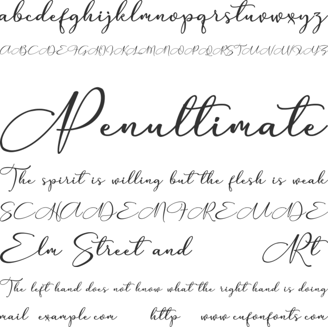 Anything font preview