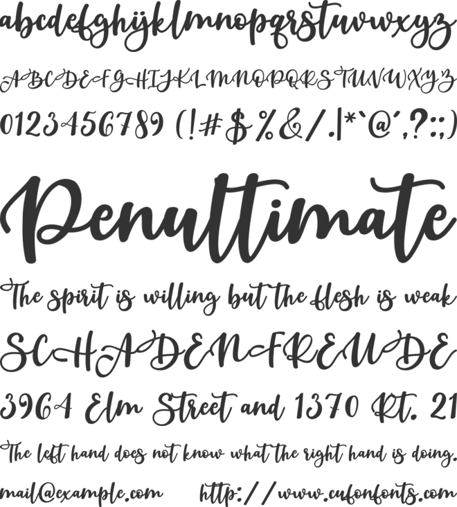 Beauty Dina font preview