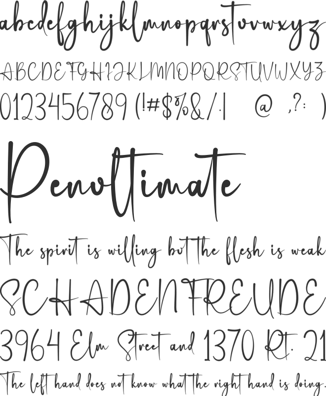 Anneth  Believer font preview