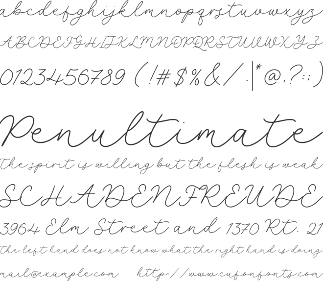 selyna avelyn font preview