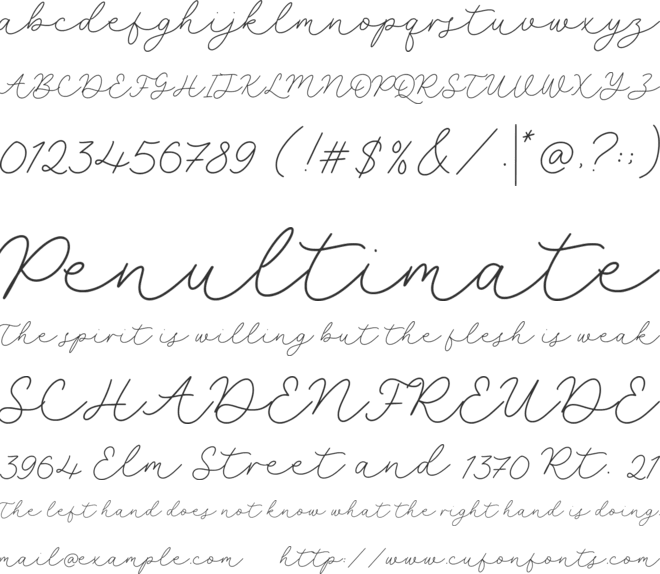 selyna avelyn font preview