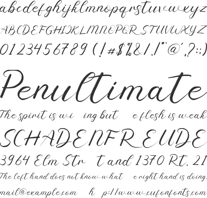 Srinita Script font preview
