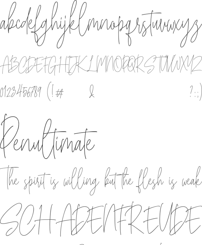 Bucherry font preview