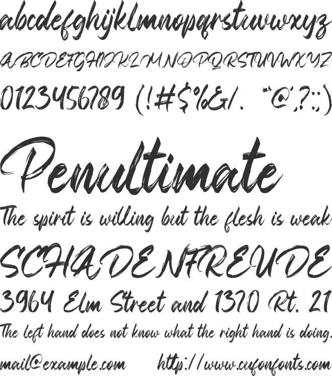 Boank font preview