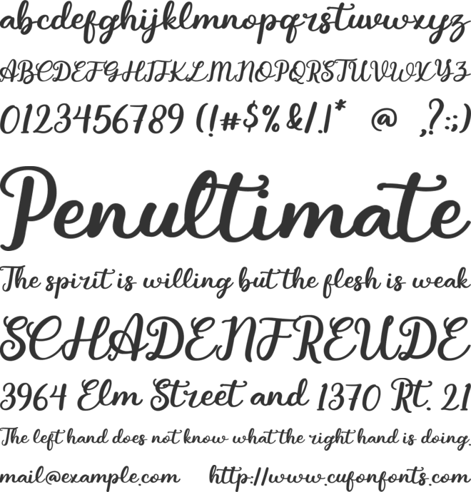 Felmay Script font preview