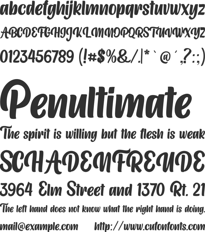 The Bigger The Better font preview