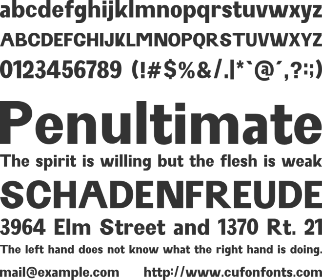 SELENA MARIN font preview