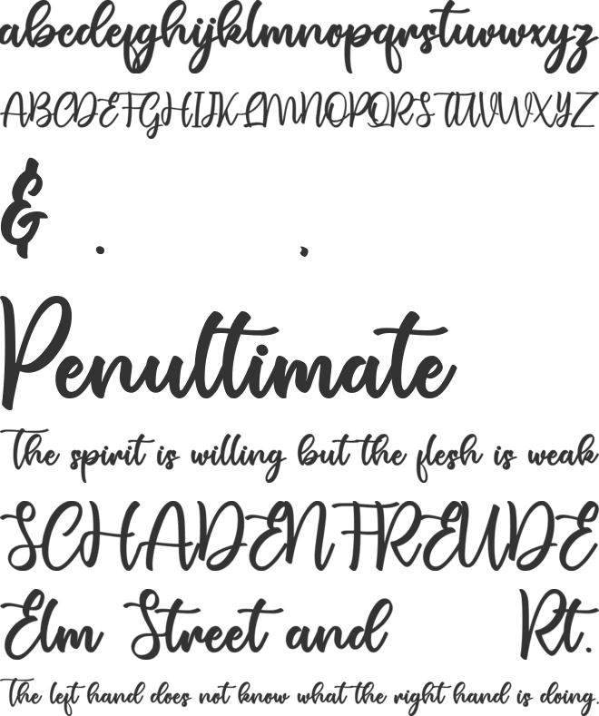 nelachia font preview