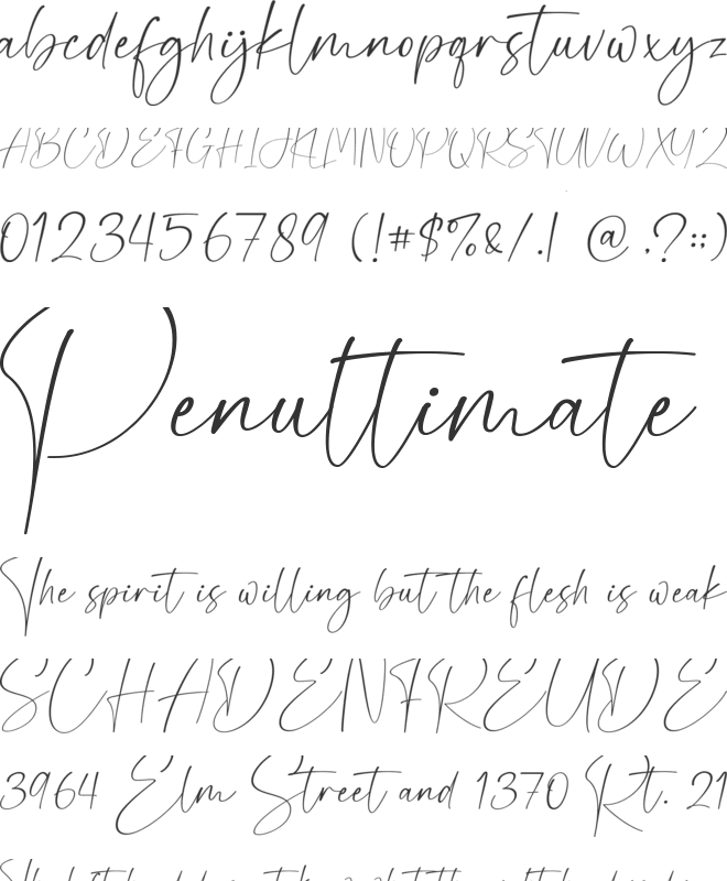 Gamaleon font preview