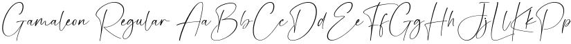 Gamaleon Regular font