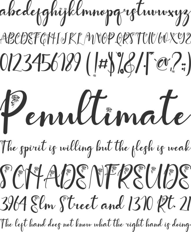 With Rose font preview