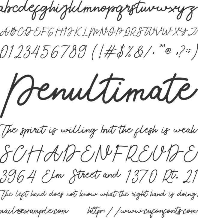 Enttosa font preview