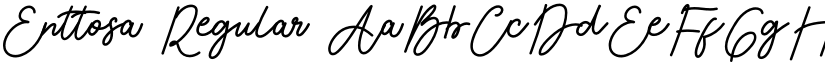 Enttosa font download