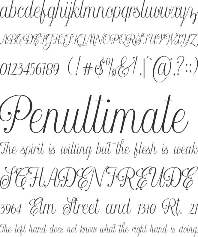 Kintamani Script Free font preview