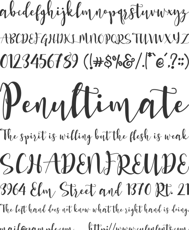 shania honey font preview