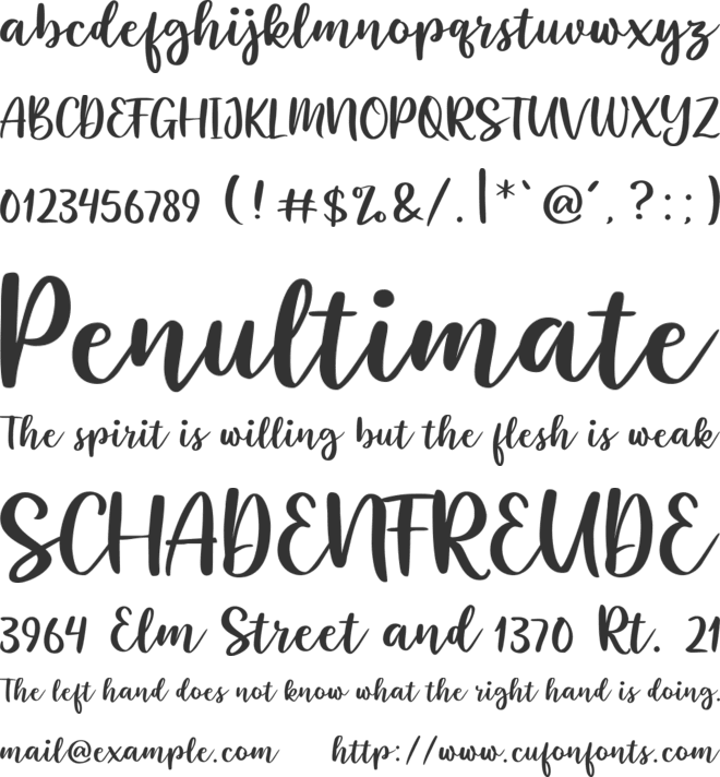 Roshtida font preview
