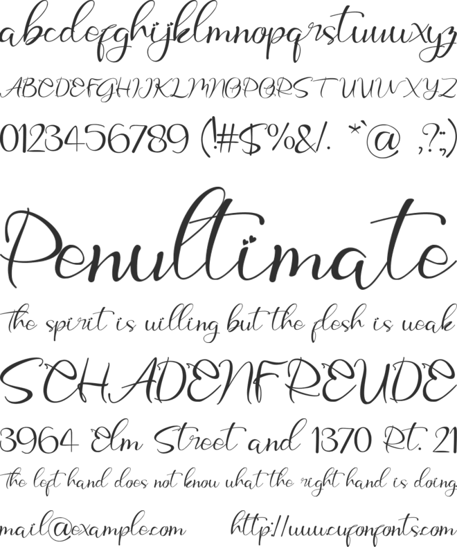 Holy Christmas Tree font preview
