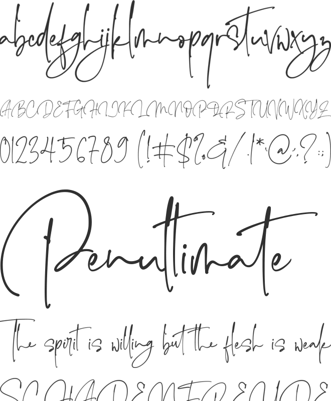 The Imaginations font preview