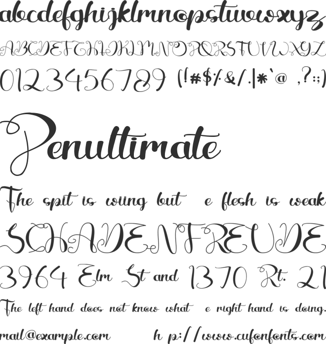 Beautiful Variella font preview