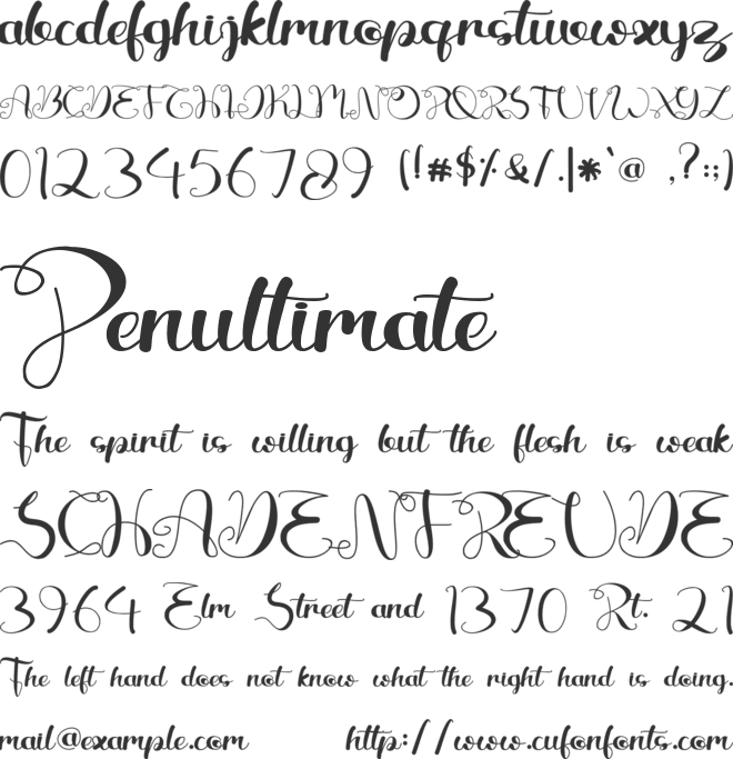 Beautiful Variella font preview