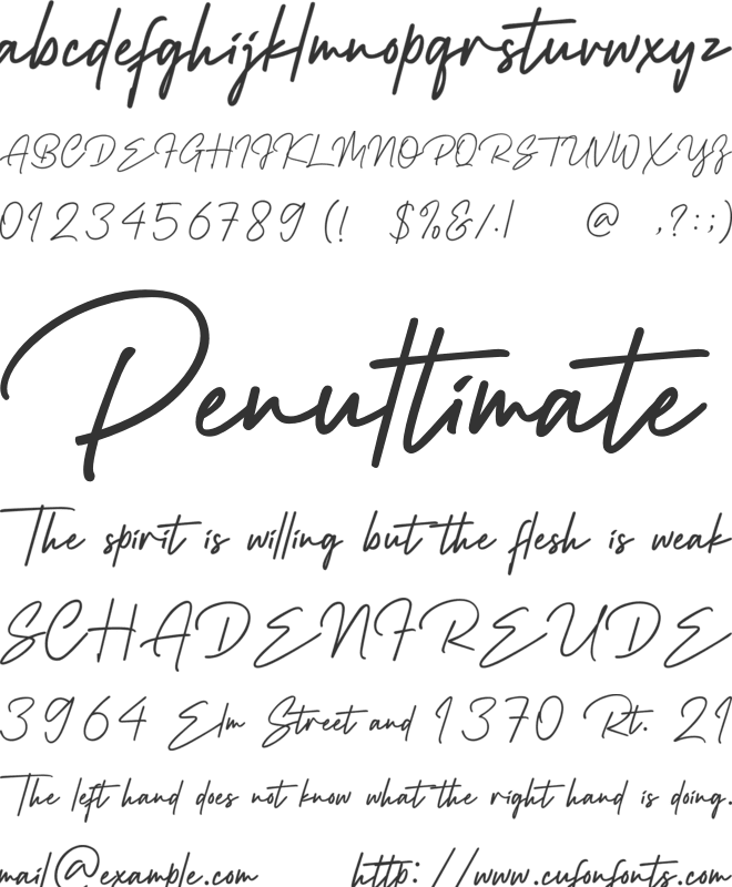 Wiliam Signature font preview