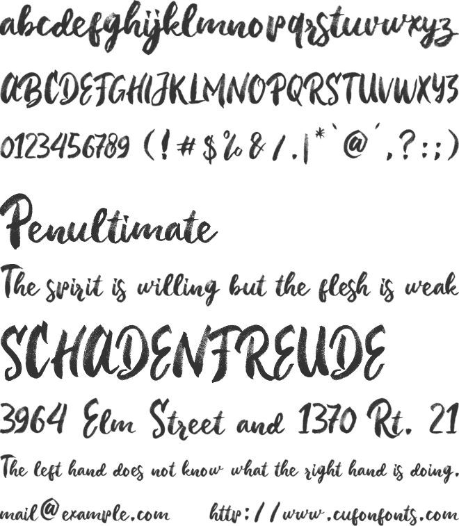 Blue Ocean Brush font preview