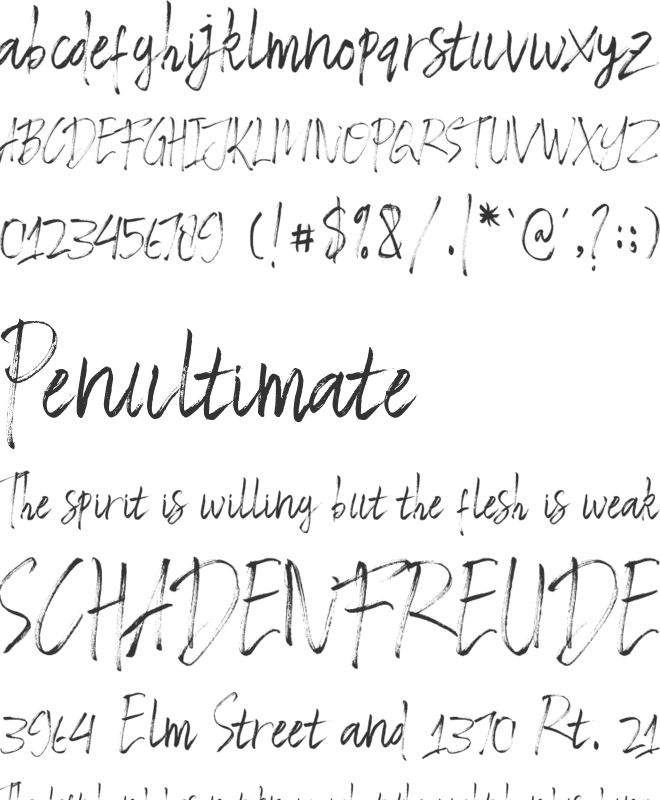 Raster Brush font preview