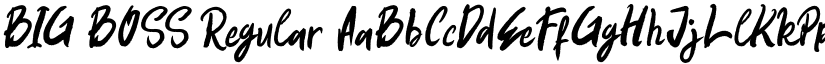 BIG BOSS Regular font