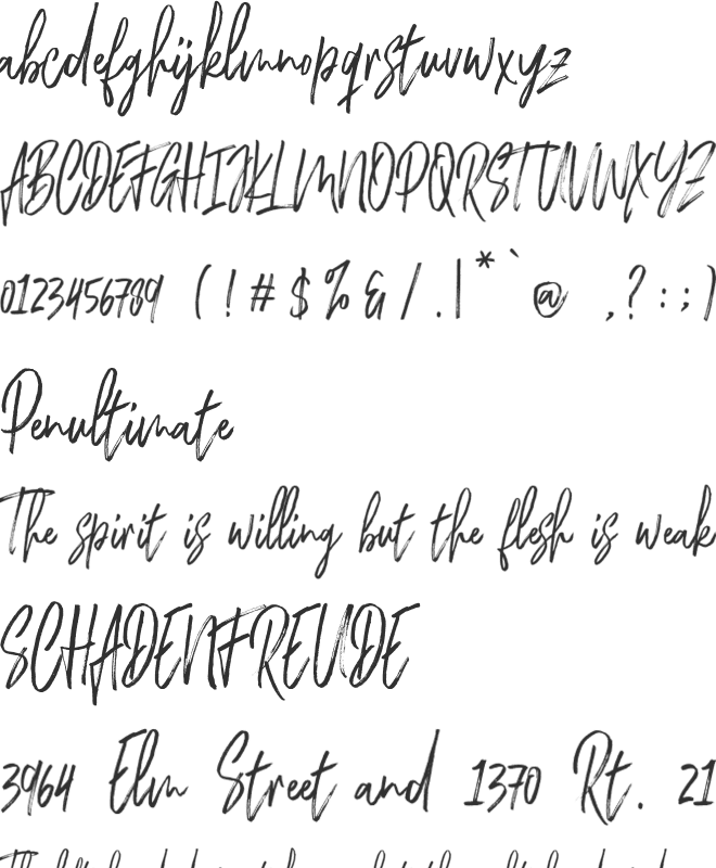 Chester Brush font preview