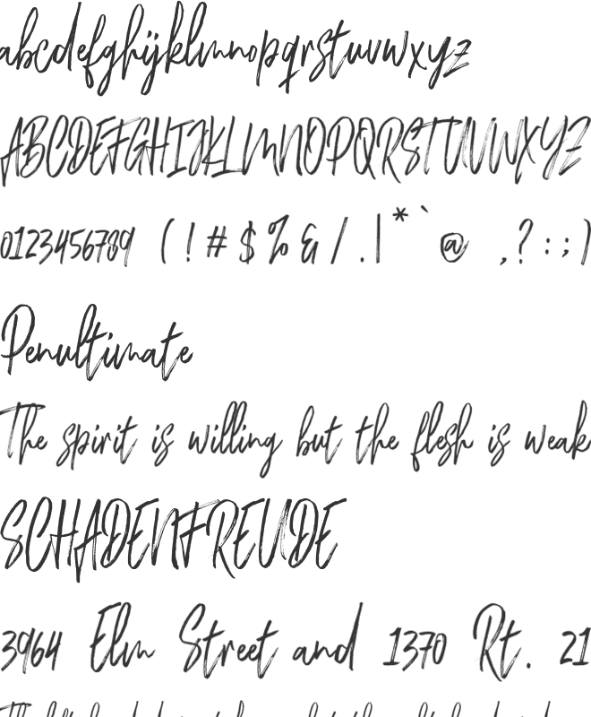 Chester Brush font preview