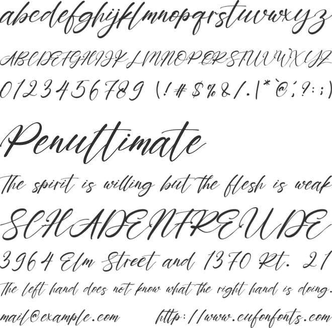 Rayanne font preview