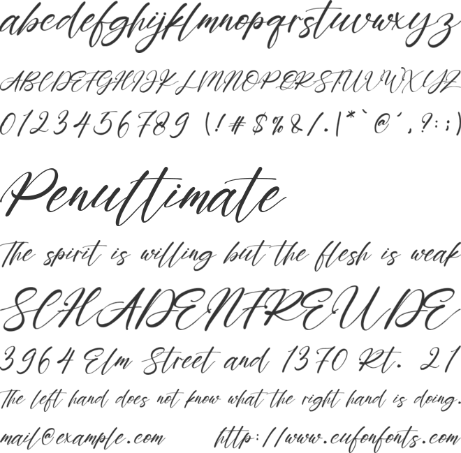 Rayanne font preview
