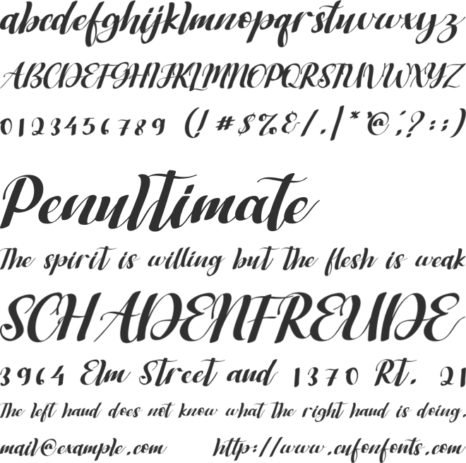 Bagstore font preview