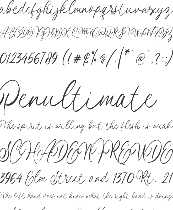 La Hileah font preview