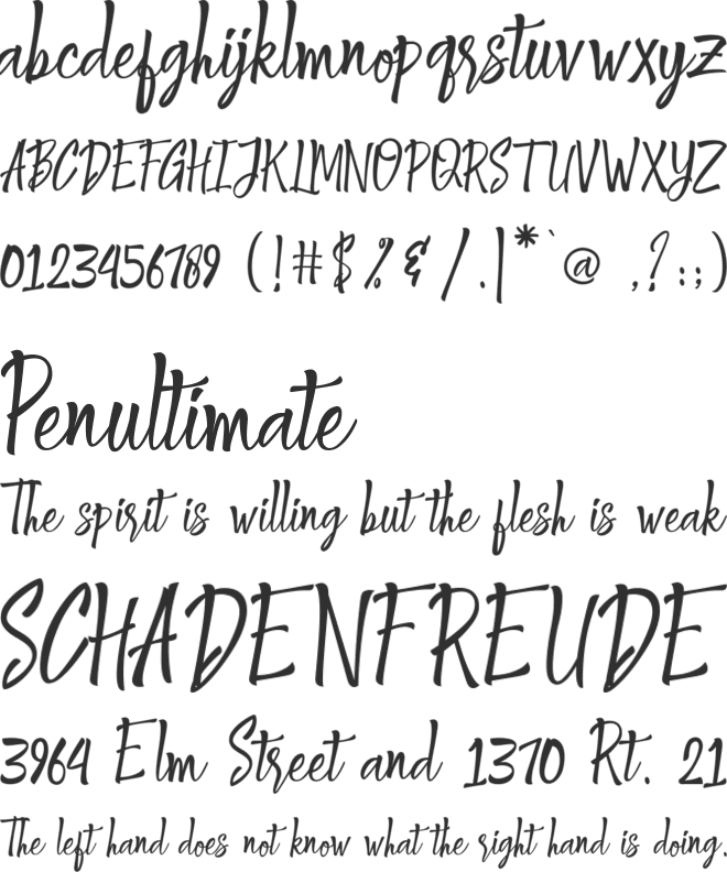 Shantika Script font preview