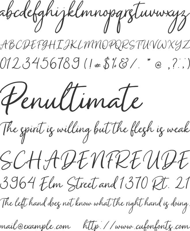 South Dallas font preview