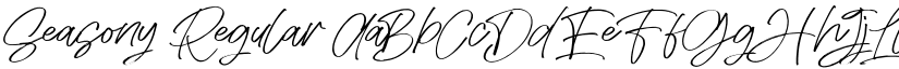 Seasony Regular font