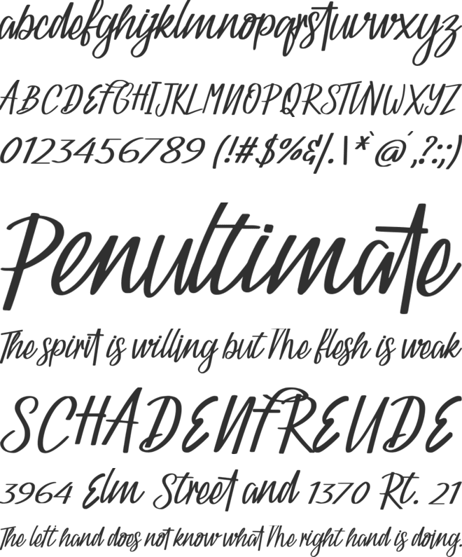 Catetin font preview